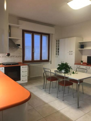 MGM HOME AREZZO